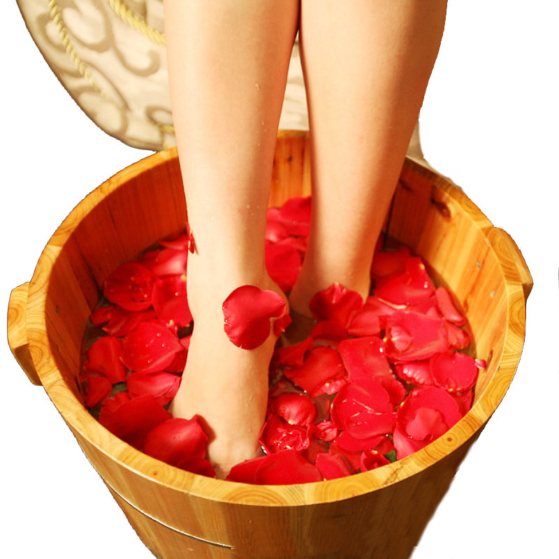 皂花圖-4